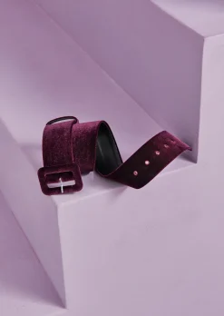 Belt Dip1