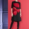 Day Dress Rogar18